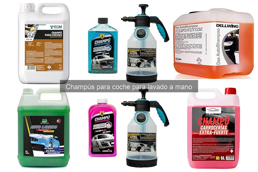 ¿Puedo usar el mismo champú para coche en interiores y exteriores?