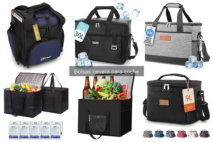 ¿Qué es una bolsa nevera para coche? Descubre sus funciones