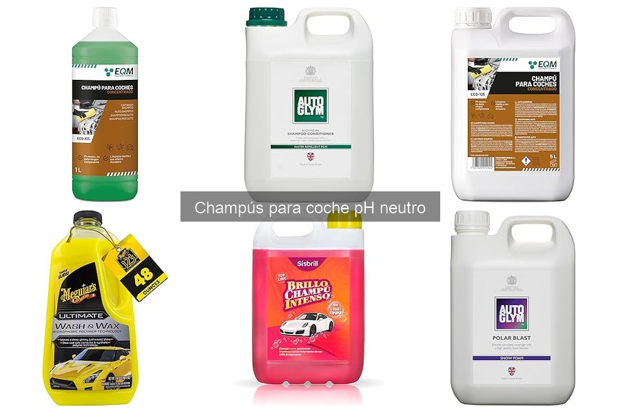 Testimonios sobre Champús pH Neutro para Limpiar Tu Coche