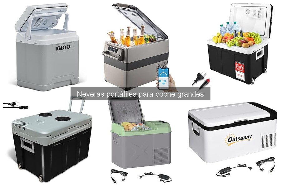 Tipos de neveras portátiles grandes para coche: guía completa