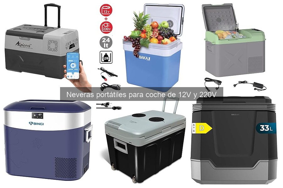Tipos de neveras portátiles para coche 12V y 220V