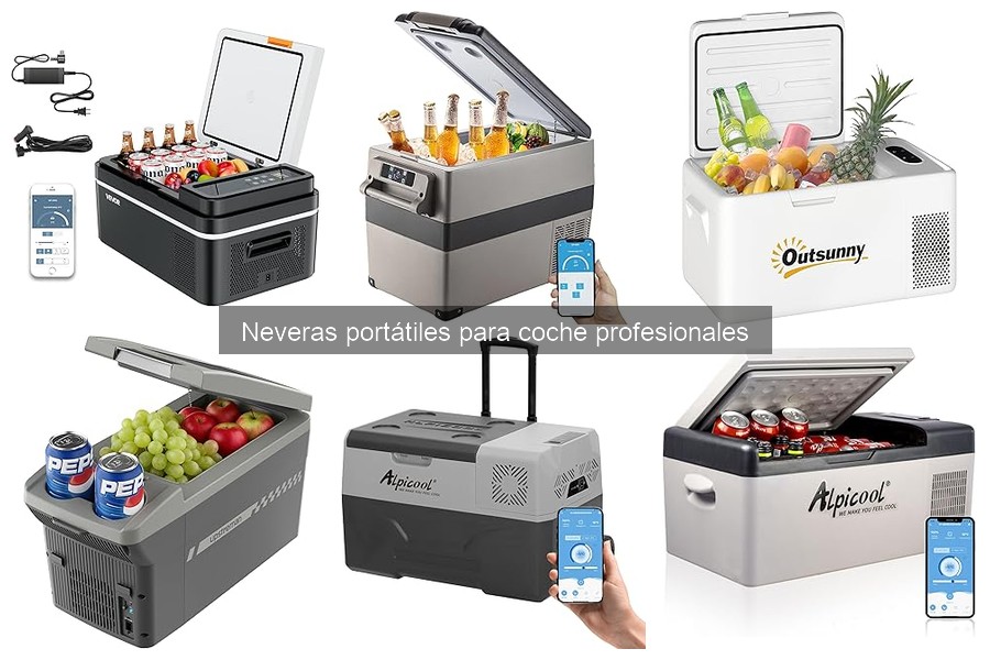 Tipos de neveras portátiles para coche profesional - Guía