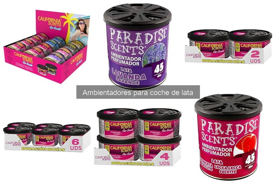 Ventajas y Desventajas de Ambientadores de Lata para Coche