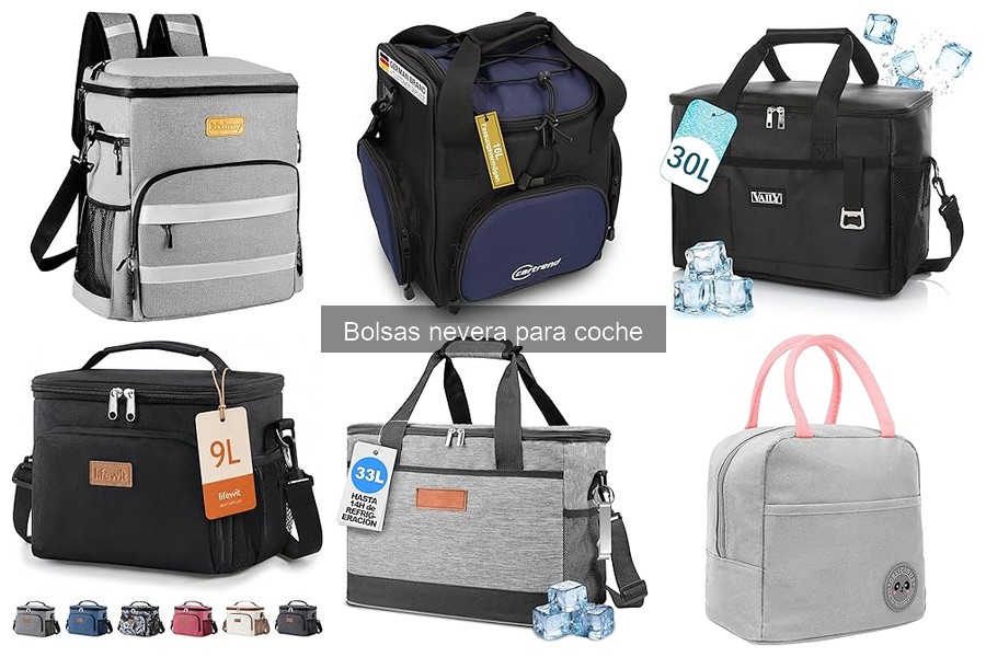 Ventajas y desventajas de las bolsas nevera para coche